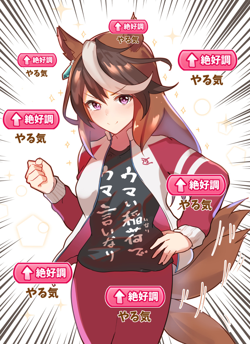 1girl alternate_costume animal_ears arito_arayuru brown_hair clenched_hand commentary earrings emphasis_lines hand_on_hip highres horse_ears horse_tail jacket jewelry motion_lines multicolored_hair open_clothes open_jacket pants print_shirt pun shirt smug solo sparkle symboli_rudolf_(umamusume) t-shirt tail tail_wagging track_jacket track_pants translation_request umamusume violet_eyes white_hair