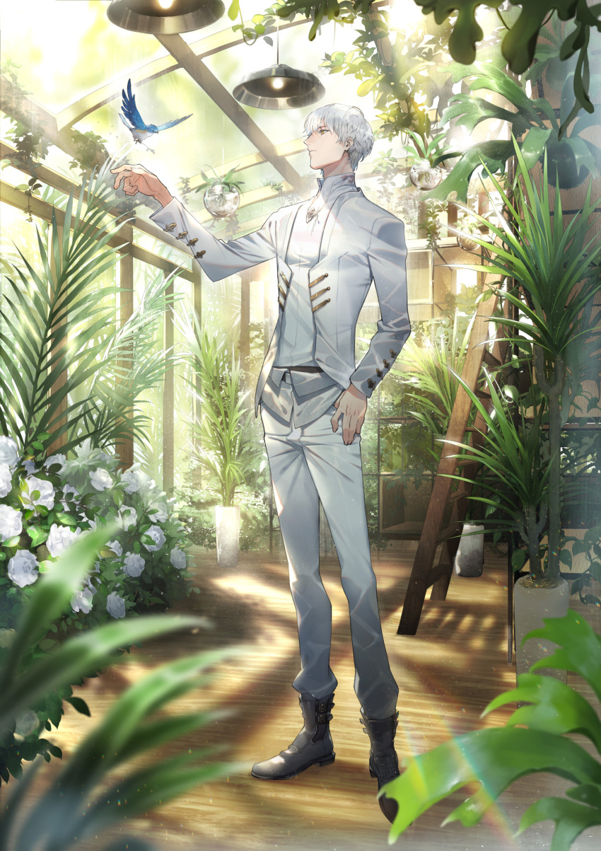 1boy bird black_footwear blurry blurry_foreground boots bush ceiling_light closed_mouth depth_of_field flower greenhouse hand_up highres indoors jacket ladder light_and_night_love long_sleeves male_focus official_art pants plant potted_plant rose ryota-h shirt short_hair solo standing white_flower white_hair white_jacket white_pants white_rose white_shirt wooden_floor yellow_eyes