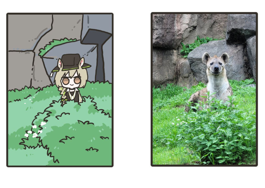 1girl animal animal_ears arknights bangs beanstalk_(arknights) black_headwear braid brown_eyes bush chibi closed_mouth fedora grey_hair hat hyena hyena_ears hyena_girl real_life_insert rihi_ewokakune solo