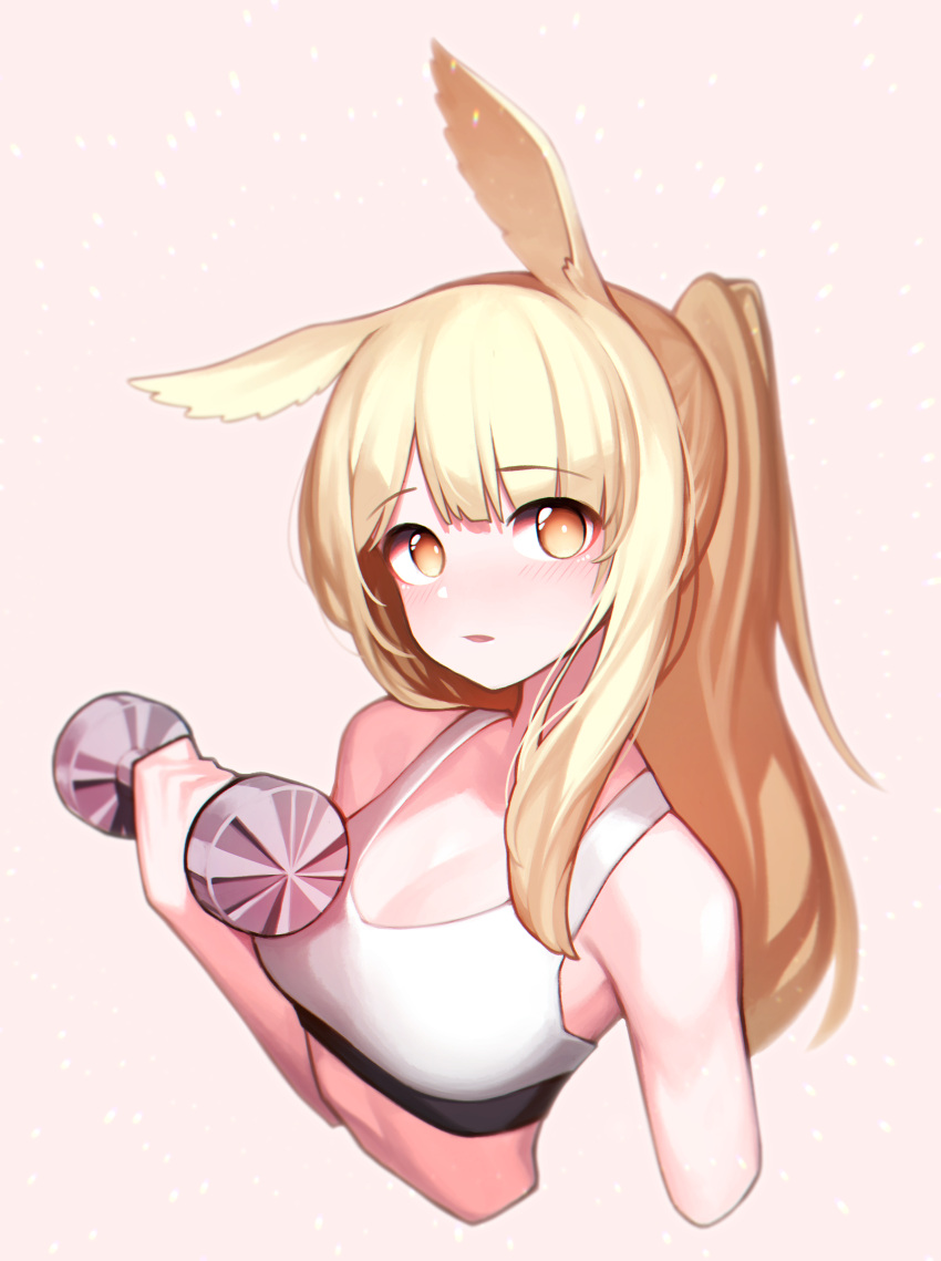 1girl absurdres animal_ears arknights beudelb blemishine_(arknights) blonde_hair blush commentary cropped_arms cropped_torso dumbbell exercise eyebrows_visible_through_hair highres horse_ears korean_commentary long_hair looking_at_viewer parted_lips pink_background ponytail simple_background solo sports_bra upper_body white_sports_bra