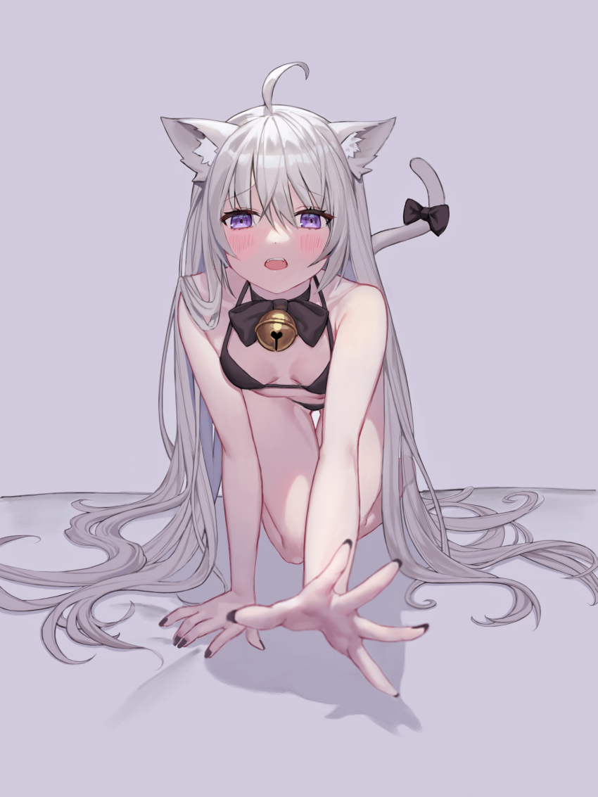 1girl absurdres ahoge animal_ears bare_arms bare_legs bare_shoulders bikini cat_ears cat_girl cat_tail climbing eyebrows_behind_hair eyebrows_visible_through_hair grey_background hair_between_eyes highres long_hair looking_at_viewer nail_polish open_mouth original reaching_out ribbon silver_hair simple_background sugarhigh swimsuit tail tail_ornament tail_ribbon underwear very_long_hair