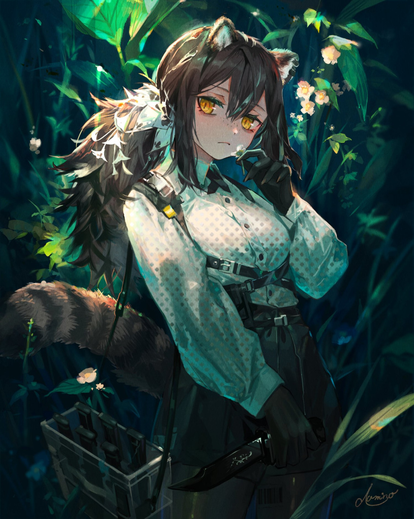 1girl animal_ears animal_hands arknights bangs closed_mouth freckles highres knife long_sleeves ozadomi pantyhose raccoon_ears raccoon_girl raccoon_tail robin_(arknights) shirt shorts solo tail white_shirt yellow_eyes