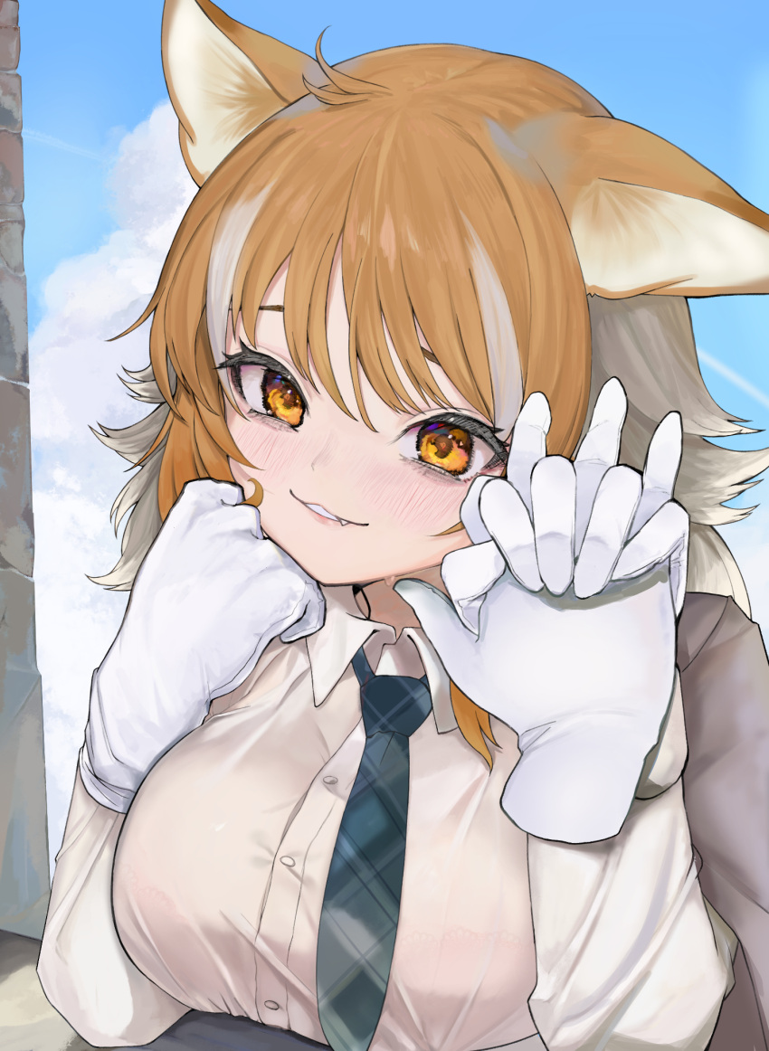 alternate_costume blue_neckwear blush collared_shirt disembodied_limb dnsdltkfkd eyebrows_visible_through_hair fang gloves highres holding_hands italian_wolf_(kemono_friends) kemono_friends light_brown_hair long_hair long_sleeves looking_at_viewer multicolored_hair necktie orange_eyes plaid_neckwear pov shirt two-tone_hair white_gloves white_hair white_shirt