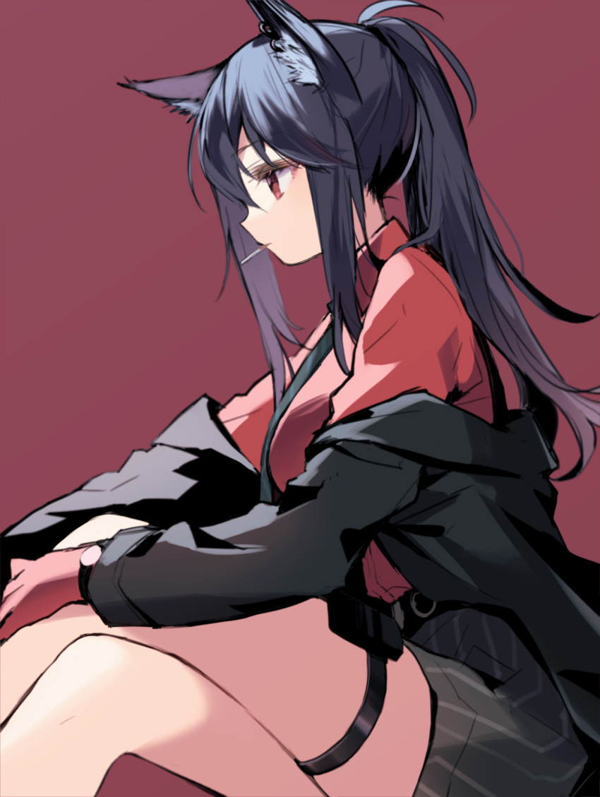 1girl animal_ears arknights black_hair black_jacket black_neckwear black_shorts breasts cigarette crossed_legs ear_piercing feet_out_of_frame from_side gloves hands_on_own_knees highres itsumi_(itumiyuo) jacket long_hair mouth_hold necktie off_shoulder official_alternate_costume piercing ponytail red_background red_gloves red_shirt shirt shorts sitting solo texas_(arknights) texas_(willpower)_(arknights) thigh_strap watch watch wolf_ears