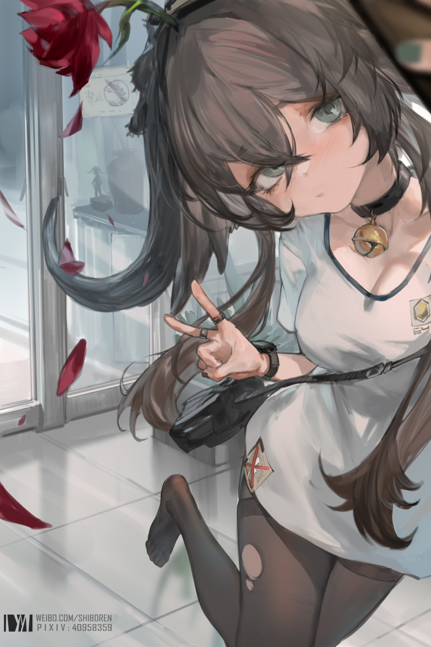 1girl absurdres arknights arm_up bangs bell black_choker black_hair black_legwear blurry blurry_foreground breasts chinese_commentary choker closed_mouth commentary_request crossed_bangs dm_(dai_miao) flower grey_eyes hair_between_eyes hair_flower hair_ornament highres indoors jewelry jingle_bell leaning_to_the_side long_hair looking_at_viewer medium_breasts multiple_rings nail_polish neck_bell no_shoes pallas_(arknights) pantyhose petals pixiv_id red_flower ring selfie shirt solo standing standing_on_one_leg torn_clothes torn_legwear v watch watch weibo_username white_shirt