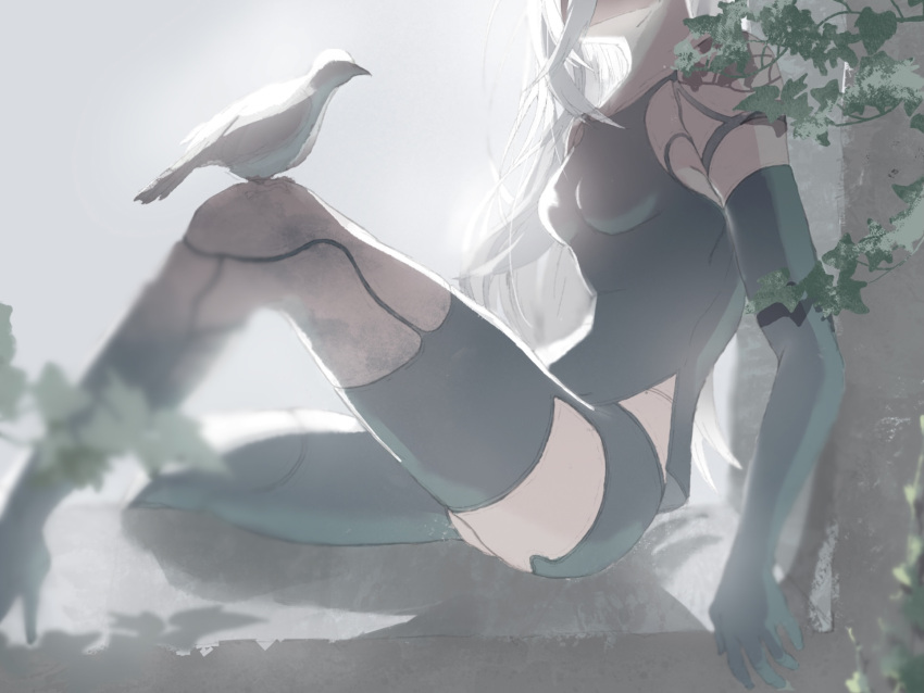 1girl android backlighting bare_shoulders bird bird_on_leg black_gloves black_legwear black_shorts breasts collarbone commentary concrete dove elbow_gloves gloves head_out_of_frame high_heels highres joints kaino_osushi85 leaf long_hair medium_breasts micro_shorts nier_(series) nier_automata robot_joints shorts single_thighhigh sitting solo tank_top thigh-highs thighs white_hair yorha_type_a_no._2