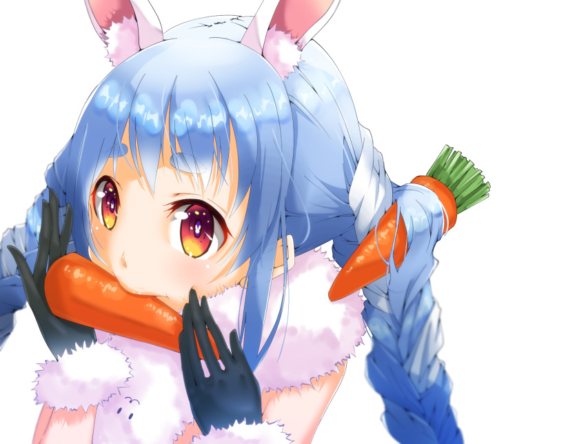 1girl animal_ear_fluff animal_ears bangs black_gloves blue_hair braid bunny-shaped_pupils carrot_hair_ornament extra_ears food-themed_hair_ornament fur-trimmed_gloves fur_scarf fur_trim gloves hair_ornament highres hikimayu hololive long_hair looking_at_viewer mouth_hold multicolored_hair orange_eyes portrait rabbit_ears rabbit_girl scarf short_eyebrows simple_background solo swept_bangs thick_eyebrows twin_braids twintails two-tone_hair usada_pekora virtual_youtuber white_background white_hair white_scarf xxxx