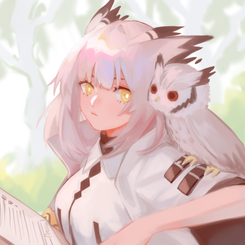 1girl absurdres animal animal_on_shoulder arknights armband bird bird_on_shoulder bright_pupils clipboard dress grey_hair highres holding holding_clipboard looking_at_viewer medium_hair owl owl_ears ptilopsis_(arknights) short_sleeves solo towne upper_body white_dress white_pupils yellow_eyes