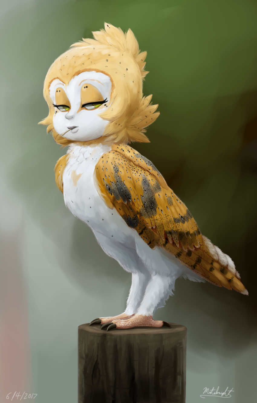 bird bird_legs dated eyeshadow feathers green_eyes highres looking_to_the_side makeup mataknight mouth_hold neck_ruff owl signature solo standing talons white_feathers wings yellow_eyeshadow yellow_feathers