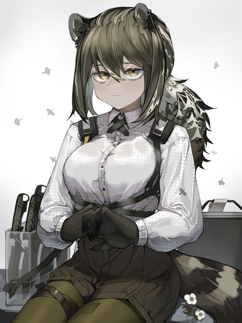1girl absurdres animal_ears animal_hands arknights bags_under_eyes black_shorts briefcase brown_hair closed_mouth collared_shirt commentary_request cowboy_shot expressionless flower highres knife long_hair long_sleeves pantyhose partial_commentary paws polka_dot polka_dot_shirt ponytail raccoon_ears raccoon_girl raccoon_tail robin_(arknights) saiun_sigma shirt shorts sitting solo tail white_background white_flower white_shirt yellow_eyes