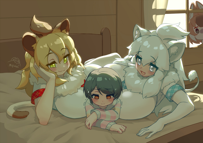4girls alternate_breast_size animal_ears arm_support asymmetrical_docking bangs bare_arms bed between_breasts black_eyes black_hair blonde_hair blue_eyes blush breast_press breasts brown_hair captain_(kemono_friends) cat_girl closed_mouth commentary_request curtains day dhole_(kemono_friends) dog_ears elbow_gloves elbow_rest empty_eyes eyebrows_visible_through_hair fang fur_collar gloves green_eyes hair_between_eyes hand_on_own_cheek hand_on_own_face head_rest height_difference highres huge_breasts indoors jewelry kemono_friends kemono_friends_3 lion_(kemono_friends) lion_ears lion_girl lion_tail long_hair long_sleeves looking_at_another looking_down lying medium_hair miji_doujing_daile multicolored_hair multiple_girls necklace on_bed on_side on_stomach open_mouth red_eyes shirt short_hair short_sleeves side_ponytail slit_pupils smile smug sweater tail trembling white_hair white_lion_(kemono_friends) window