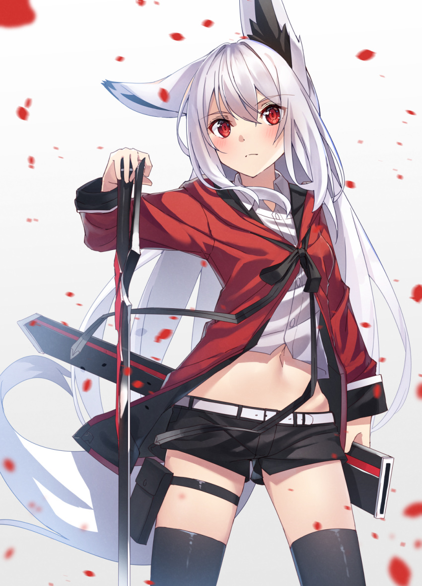 1girl animal_ears bangs belt black_legwear black_shorts blush eyebrows_visible_through_hair fox_ears fox_girl fox_tail hair_between_eyes highres holding holding_sheath holding_sword holding_weapon holster jacket long_hair long_sleeves looking_at_viewer midriff navel original petals red_eyes red_jacket sheath shiro_youduki shirt short_shorts shorts sidelocks simple_background solo sword tail thigh-highs thigh_holster thigh_strap weapon white_background white_belt white_hair white_shirt