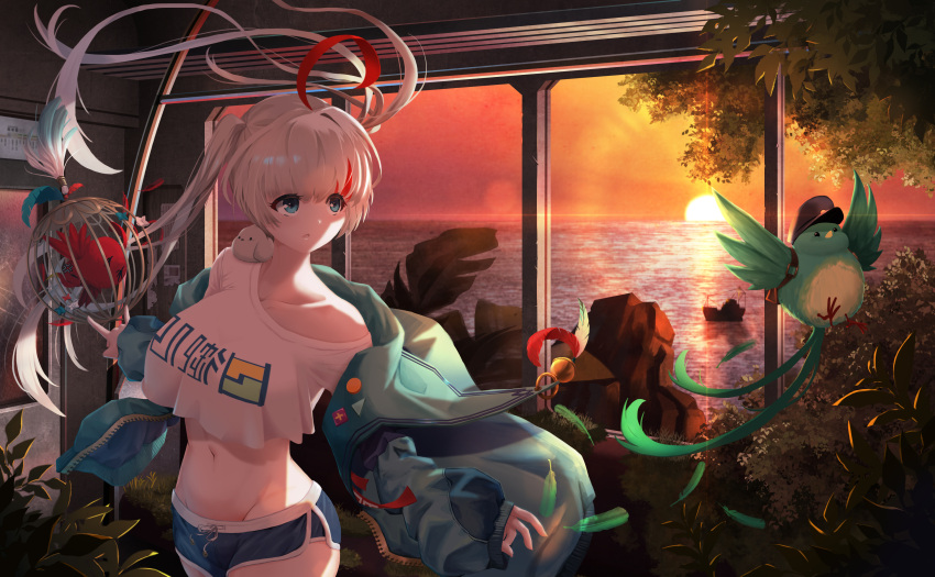 1girl absurdres ahoge anger_vein animal_on_shoulder bird bird_on_shoulder birdcage black_headwear blue_jacket boat breasts cage character_request check_copyright collarbone copyright_request crop_top crotch feathers hat highres jacket karorena large_breasts midriff multicolored_hair navel ocean redhead short_shorts shorts solo sun sunlight sunset translation_request tree twintails two-tone_hair water watercraft wavy_hair white_hair x2:_eclipse zipper