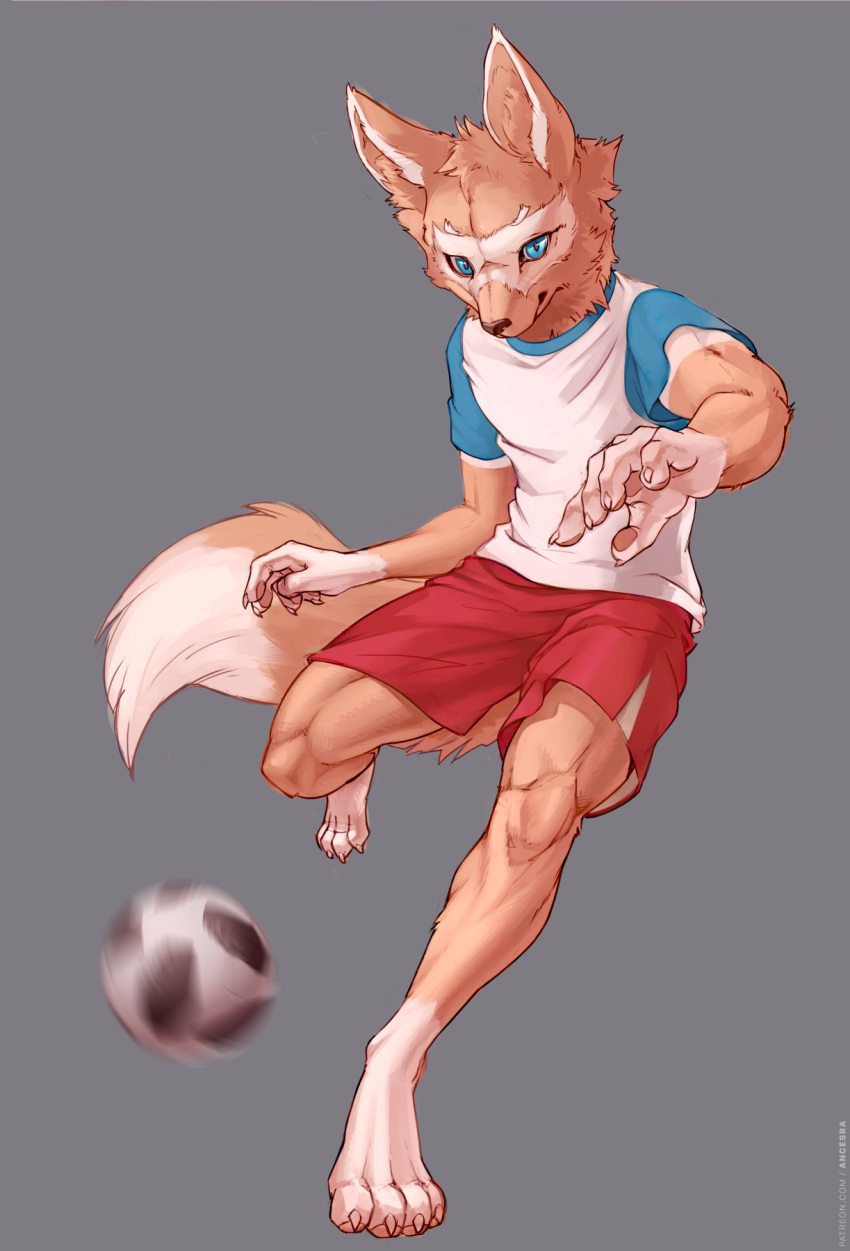 1boy 2018_fifa_world_cup ancesra animal_ears animal_nose artist_name ball barefoot blue_eyes blue_shirt body_fur brown_fur claws closed_mouth clothes_writing commentary english_commentary english_text fox_boy fox_ears fox_tail furry grey_background hands_up highres kicking leg_up looking_at_viewer male_focus motion_blur patreon_username pawpads paws red_shorts shirt short_sleeves shorts simple_background snout soccer soccer_ball soccer_uniform solo sportswear standing standing_on_one_leg tail toned toned_male two-tone_fur v-shaped_eyebrows vest watermark web_address white_fur white_vest world_cup zabivaka