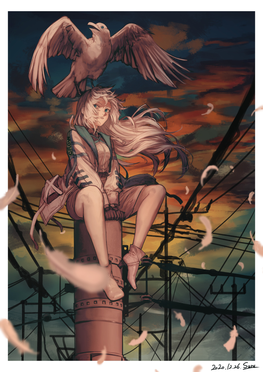 1girl absurdres animal animal_on_head aqua_eyes between_legs bird black_gloves blurry blurry_background border crow evening feathers gloves hand_between_legs highres huge_filesize jacket long_hair on_head original outdoors painterly parted_lips seiya_(artist) shirt_tucked_in shorts sitting twilight utility_pole white_border white_feathers white_footwear white_hair white_jacket zipper zipper_pull_tab