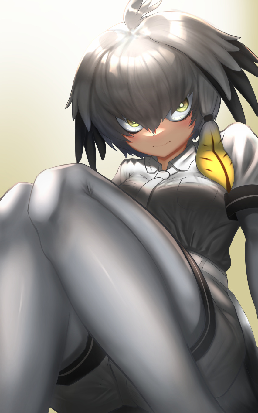 1girl absurdres bangs belt bird_tail black_hair blonde_hair bodystocking breast_pocket brown_hair closed_mouth collared_shirt grey_hair grey_shirt grey_shorts hair_between_eyes hair_intakes highres kemono_friends knees_together_feet_apart knees_up layered_sleeves long_hair long_sleeves looking_at_viewer multicolored_hair necktie pocket r_(r_gavaaim) shirt shoebill_(kemono_friends) short_over_long_sleeves short_sleeves shorts sidelocks sitting solo tail white_neckwear wing_collar yellow_eyes