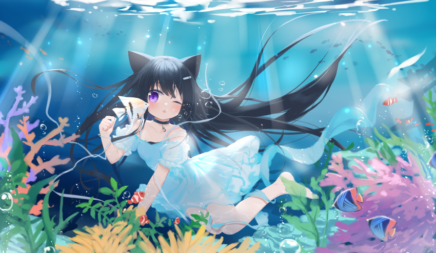 1girl ;o animal animal_ears bangs bare_shoulders barefoot black_choker black_hair blush cat_ears choker clownfish commentary coral dappled_sunlight day dress english_commentary eyebrows_visible_through_hair fish freediving fufumi hair_ornament hairclip highres long_hair ocean_bottom one_eye_closed original outdoors parted_lips puffy_short_sleeves puffy_sleeves short_sleeves solo sunlight underwater very_long_hair violet_eyes water white_dress