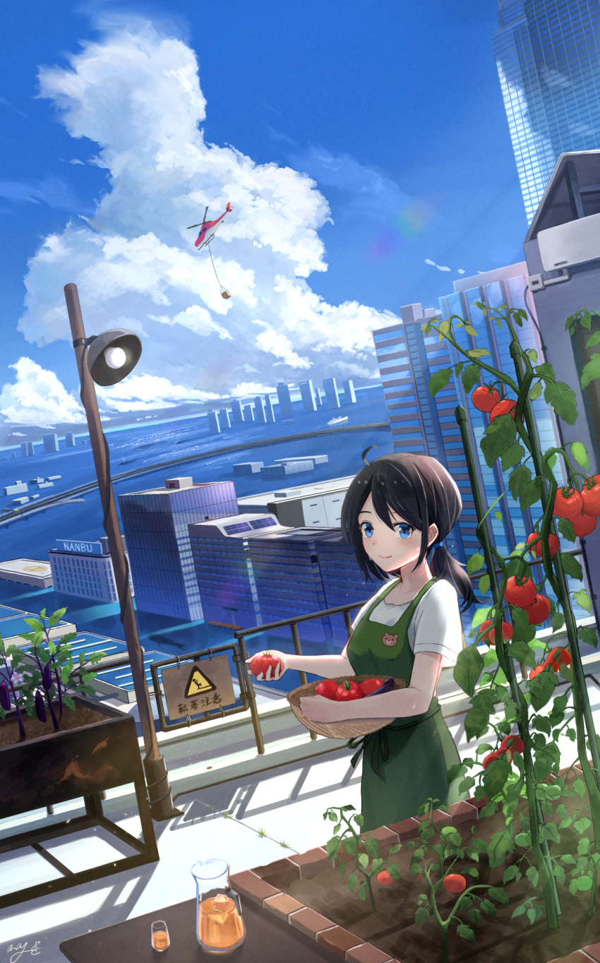 1girl aircraft apron bangs black_hair blue_eyes blue_sky city closed_mouth clouds commentary_request cowboy_shot cumulonimbus_cloud day food green_apron helicopter highres holding juice lamp long_hair looking_at_viewer m.a.y. original outdoors plant short_sleeves signature sky smile solo standing summer sweat tomato water