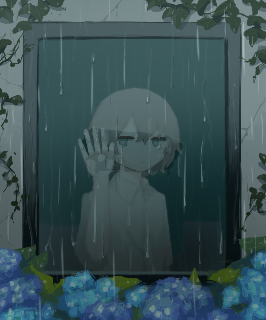 1boy absurdres against_glass avogado6 blue_eyes blue_flower bright_pupils closed_mouth commentary_request flower from_outside grey_hair hand_up highres hydrangea ivy jitome looking_at_viewer male_focus original rain solo white_pupils