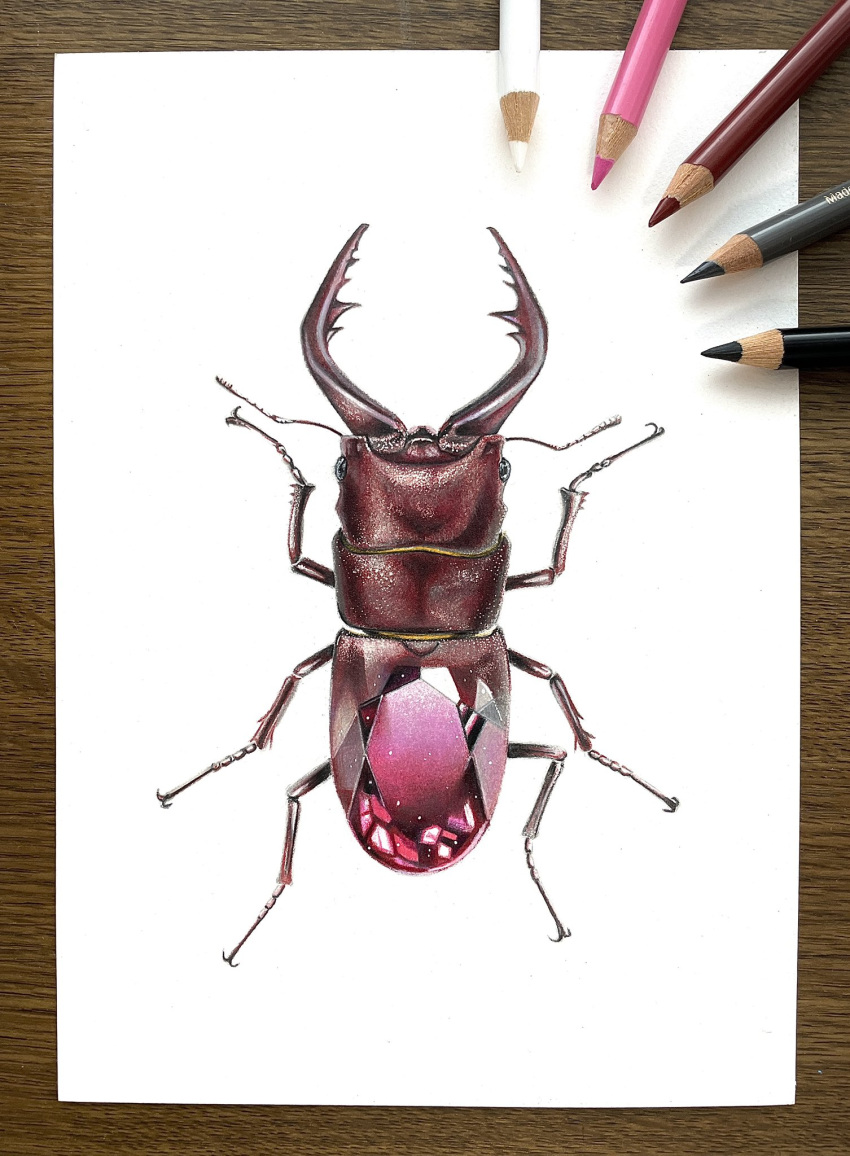 abe_yuichiro animal_focus beetle bug colored_pencil_(medium) commentary_request highres insect original photo_(medium) ruby_(gemstone) shadow simple_background stag_beetle traditional_media white_background