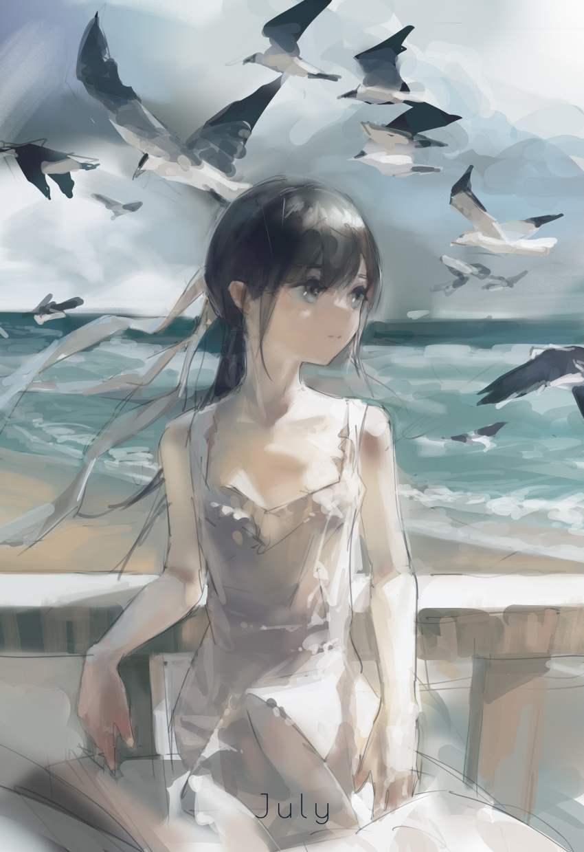 1girl absurdres background_text bangs bare_shoulders beach bird black_hair breasts closed_mouth clouds cloudy_sky commentary_request dress english_commentary english_text expressionless eyebrows frilled_dress frills grey_eyes hair_ribbon highres leaning leaning_back leaning_on_rail long_hair long_ribbon looking_to_the_side ocean original outdoors railing ramp ribbon sand scenery seagull shiny shiny_hair sidelocks sky small_breasts solo standing sundress water waves white_bird white_dress white_ribbon zygocactus