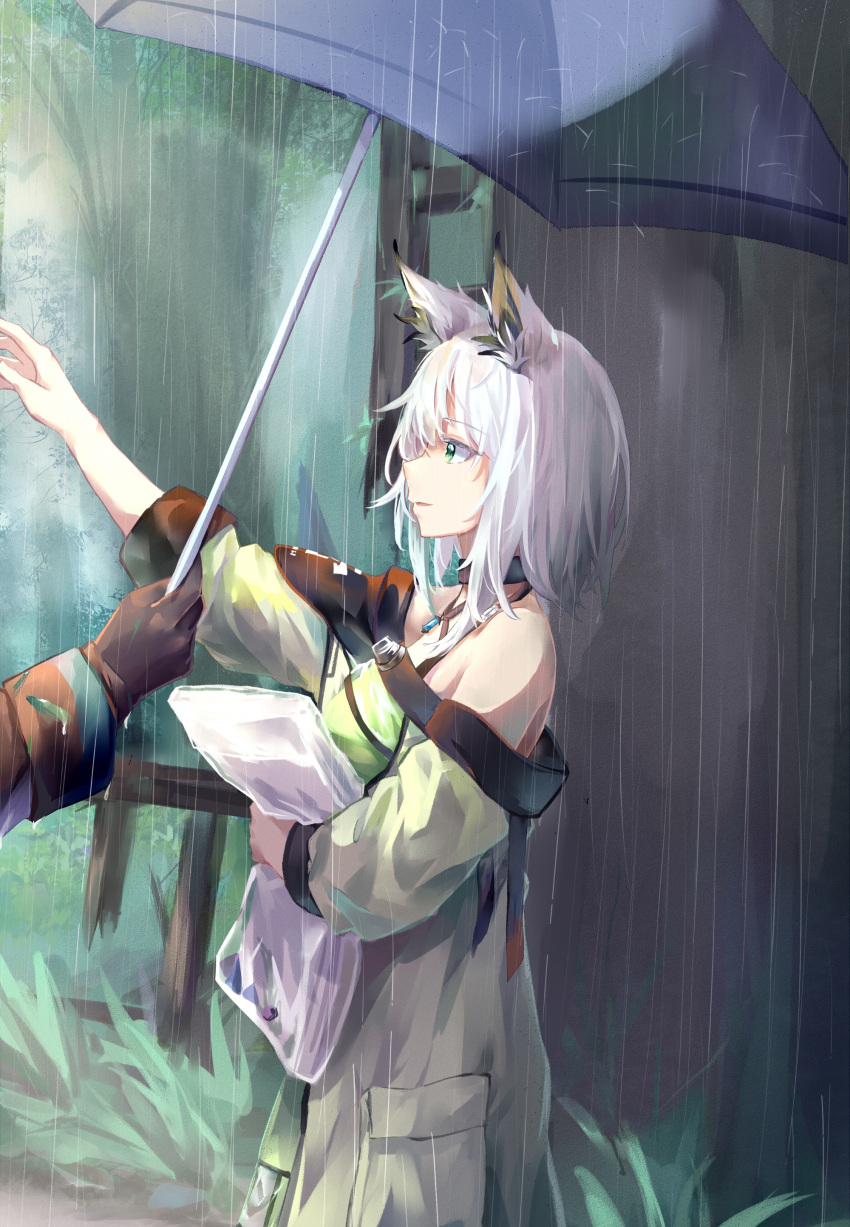 1girl 1other absurdres animal_ears arknights bare_shoulders black_gloves cat_ears chinese_commentary dress from_side gloves grass green_dress green_eyes highres holding holding_umbrella jewelry kal'tsit_(arknights) moyu_marginal necklace off-shoulder_dress off_shoulder out_of_frame outdoors rain short_hair umbrella white_hair