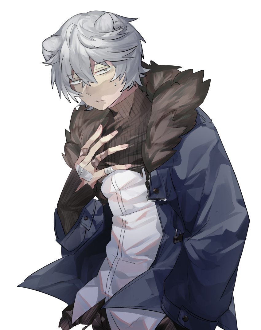 1boy animal_ears arknights bandaid bandaid_on_hand bear_ears blue_jacket closed_mouth commentary_request expressionless eyebrows_visible_through_hair fur-trimmed_jacket fur_trim hair_between_eyes hand_up highres jacket jaye_(arknights) long_sleeves male_focus open_clothes open_jacket shirt short_hair silver_hair simple_background sleeves_past_wrists solo sweatdrop turtleneck upper_body white_background white_shirt yukinohito_(koutyanomitai)