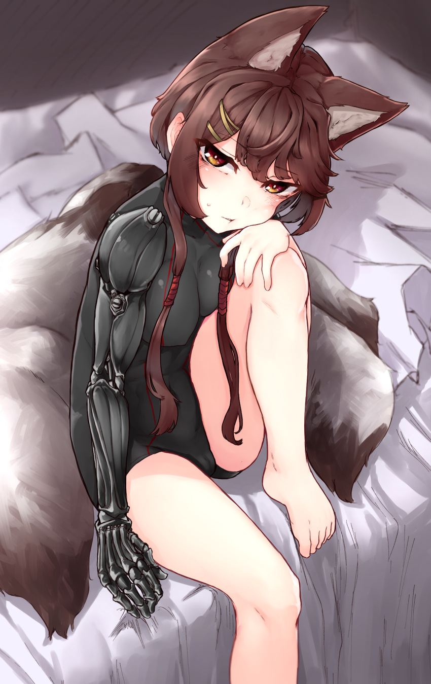 1girl :t absurdres animal_ears bed black_leotard blush breasts brown_eyes brown_hair cheek_rest clip_studio_paint_(medium) fluffy girls_frontline glaring highres k0ng knee_up leotard looking_at_viewer mechanical_arms medium_breasts no_jacket official_alternate_costume on_bed short_hair_with_long_locks sidelocks single_mechanical_arm solo sweatdrop tail tied_hair tsurime type_79_(girls_frontline) wolf_ears wolf_tail