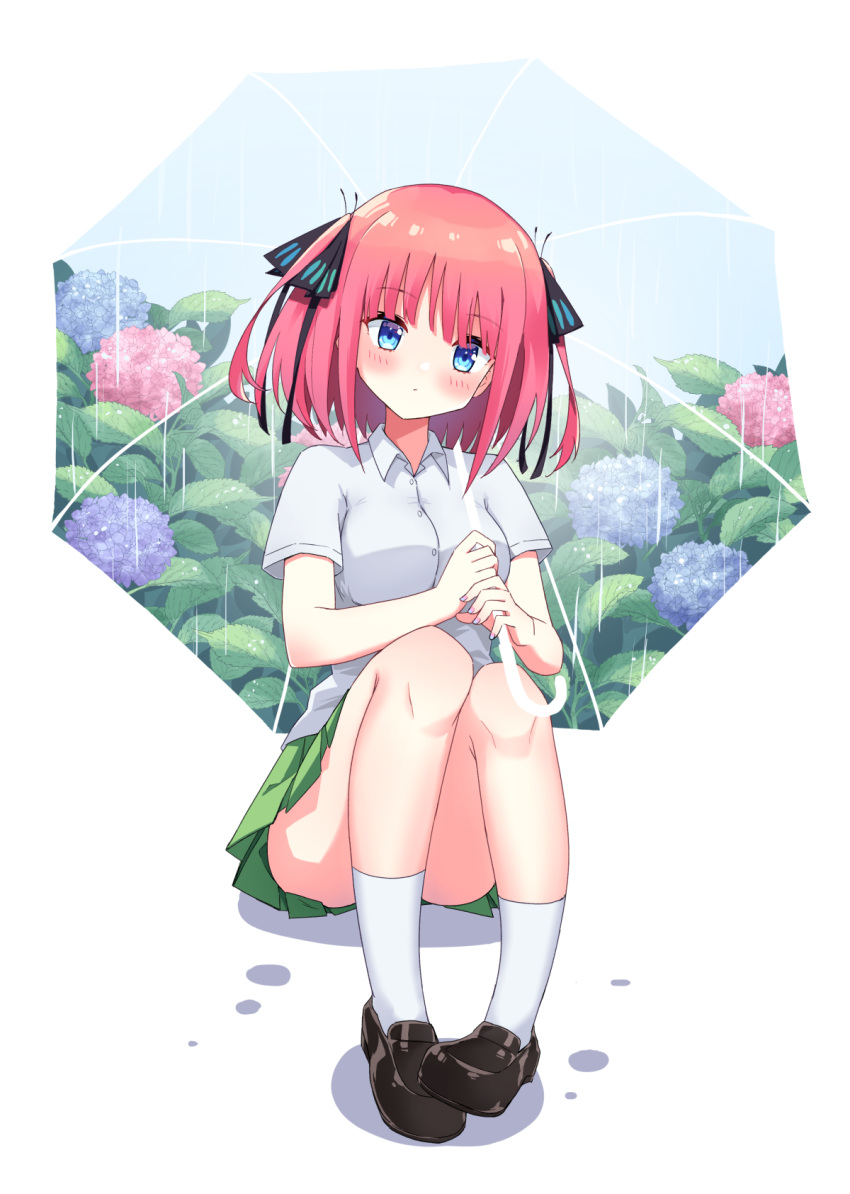 1girl bangs black_footwear black_ribbon blending blue_eyes blue_flower blush breasts collared_shirt commentary_request dress_shirt eyebrows_visible_through_hair flower full_body go-toubun_no_hanayome green_skirt hair_ribbon highres holding holding_umbrella hydrangea knees_up large_breasts loafers looking_at_viewer medium_hair miniskirt nail_polish nakano_nino pink_flower pink_hair pleated_skirt profnote purple_flower rain ribbon shirt shoes short_sleeves simple_background sitting skirt socks solo two_side_up umbrella white_background white_legwear white_shirt