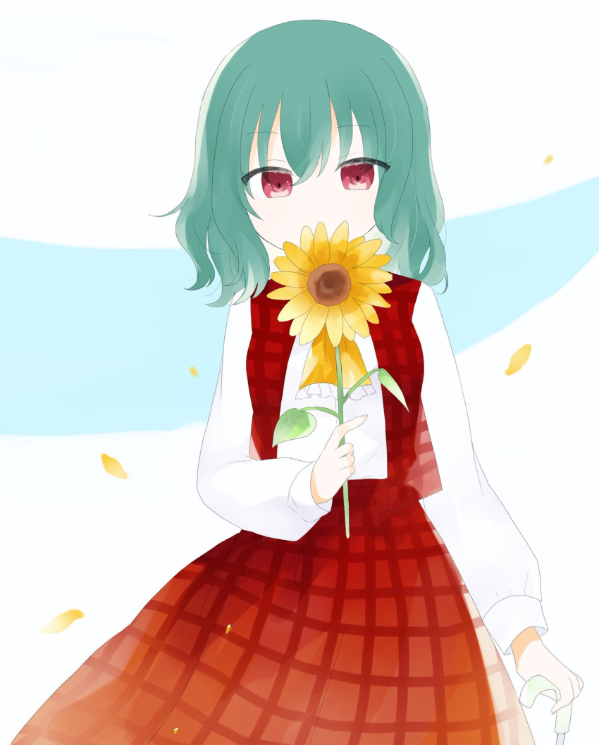 1girl bangs blue_background eyebrows_visible_through_hair eyes_visible_through_hair flower green_hair hair_between_eyes hand_up highres kazami_yuuka leaf long_sleeves looking_at_viewer no_hat no_headwear petals plaid plaid_skirt plaid_vest red_eyes red_skirt red_vest shirt short_hair simple_background skirt solo sunflower touhou umi_(nana_spring) vest white_background white_shirt white_sleeves yellow_flower yellow_neckwear