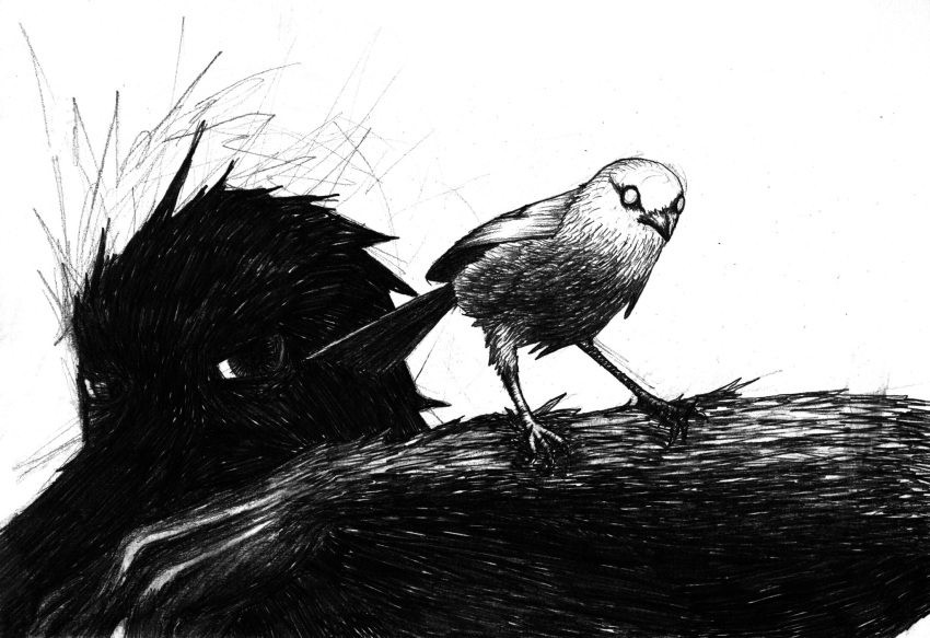 animal beak bird greyscale hatching_(texture) highres horror_(theme) monochrome monster no_humans no_pupils original simple_background sketch standing white_background xreamm