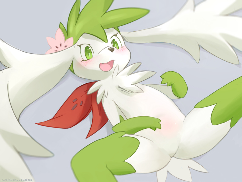 1girl :3 ancesra animal_nose bangs blurry blush body_fur commentary depth_of_field english_commentary flat_chest flower furry gen_4_pokemon green_eyes green_fur green_hair grey_background hair_flower hair_ornament happy head_wings highres legendary_pokemon lying mythical_pokemon no_pussy on_back open_mouth personification pink_flower pokemon shaymin shaymin_(sky) short_hair simple_background smile snout solo spiky_hair spread_legs tail two-tone_fur v-shaped_eyebrows white_fur white_wings wings