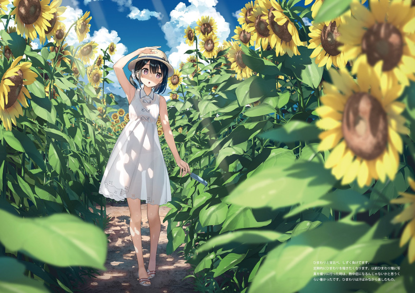 1girl :o arm_up bangs black_hair blue_sky blurry bra bra_through_clothes clouds collared_dress commentary_request day depth_of_field dress flower food hair_ornament hat hat_ribbon highres holding holding_food kantoku leaf light_rays open_mouth original outdoors popsicle ribbon sandals see-through see-through_dress sky sleeveless sleeveless_dress solo sunbeam sundress sunflower sunlight underwear violet_eyes white_bra white_dress