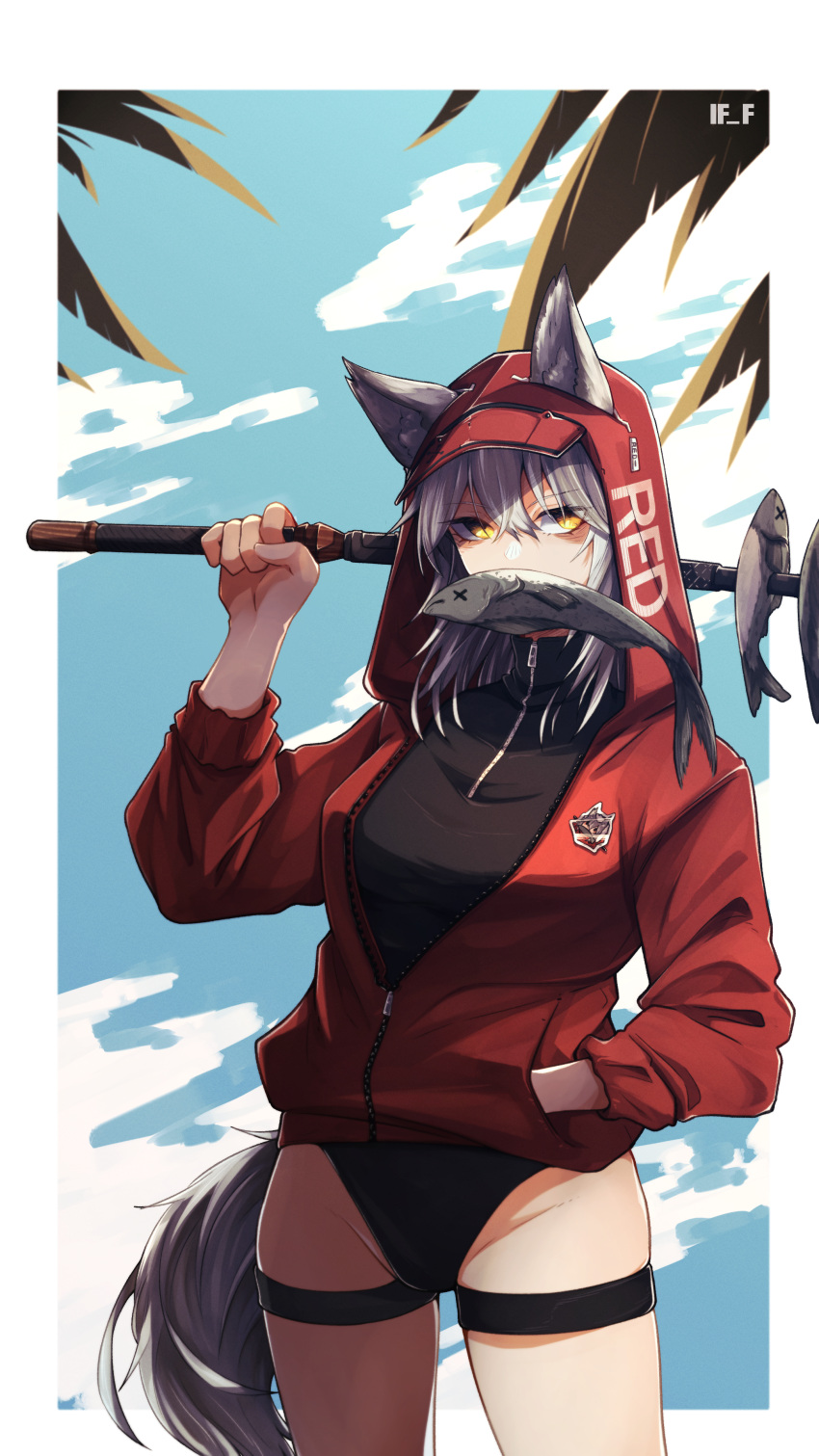 1girl absurdres animal_ears arknights artist_name bangs black_swimsuit border breasts brown_eyes casual_one-piece_swimsuit clothes_writing commentary cowboy_shot ears_through_headwear eyebrows_visible_through_hair fish grey_hair hand_in_pocket highres holding holding_stick hood hood_up hooded_jacket if_f jacket long_sleeves looking_at_viewer medium_breasts mouth_hold official_alternate_costume one-piece_swimsuit open_clothes open_jacket outdoors projekt_red_(arknights) projekt_red_(light_breeze)_(arknights) red_jacket solo stick swimsuit tail thigh_strap thighs white_border wolf_ears wolf_girl wolf_tail