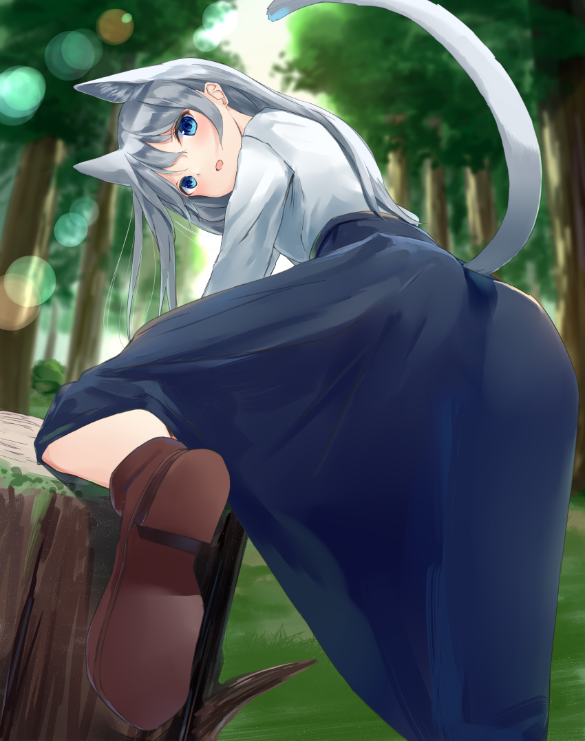 1girl absurdres akinakesu-chan animal_ears ass bangs blue_eyes blue_skirt blurry blurry_background brown_footwear cat_ears cat_girl cat_tail commentary_request day depth_of_field forest grey_hair hair_between_eyes highres long_hair looking_at_viewer looking_back nature open_mouth original outdoors shirt shoe_soles skirt solo tail tree tree_stump very_long_hair white_shirt
