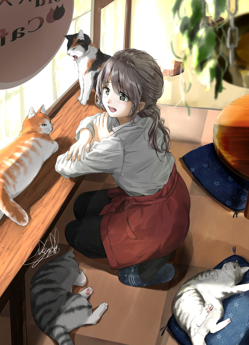 1girl :d apron arm_rest black_legwear black_pants blurry blurry_foreground calico carpet cat cat_cafe chain commentary_request counter crossed_arms cushion from_above grey_eyes grey_hair hanging_plant highres long_sleeves on_floor open_mouth original pants seiza shadow shirt short_ponytail sign signature sitting slippers smile solo soragane_(banisinngurei) table upper_teeth white_shirt window zabuton