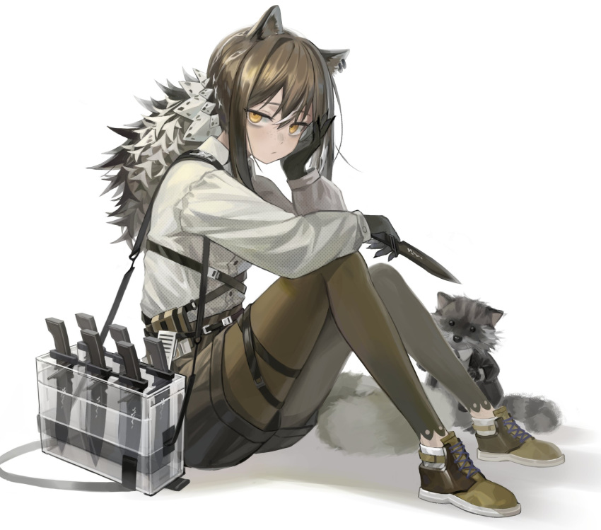 1girl animal animal_ears arknights black_gloves black_shorts brown_hair brown_legwear closed_mouth dagger expressionless fuwawa_(fuwawa617) gloves head_rest high-waist_shorts highres holding knees_up knife long_sleeves looking_at_viewer pantyhose raccoon raccoon_ears robin_(arknights) shirt shirt_tucked_in shoes short_hair_with_long_locks short_shorts shorts simple_background sitting solo weapon weapon_case white_background white_shirt yellow_eyes