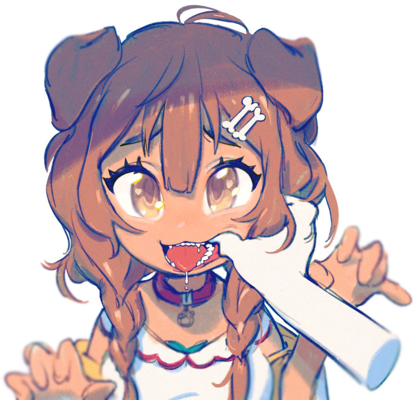1girl animal_collar animal_ears bangs blush bone_hair_ornament braid brown_eyes brown_hair cheek_pull collar dog_ears dog_girl dog_tail dress fangs finger_in_another's_mouth hair_between_eyes hair_ornament hairclip highres hololive inugami_korone jacket long_hair looking_at_viewer low_twin_braids mouth_pull off_shoulder open_mouth pov pov_hands red_collar saliva sharp_teeth simple_background snout_(artist) solo_focus tail teeth tongue tongue_out twin_braids upper_body virtual_youtuber white_background white_dress yellow_jacket