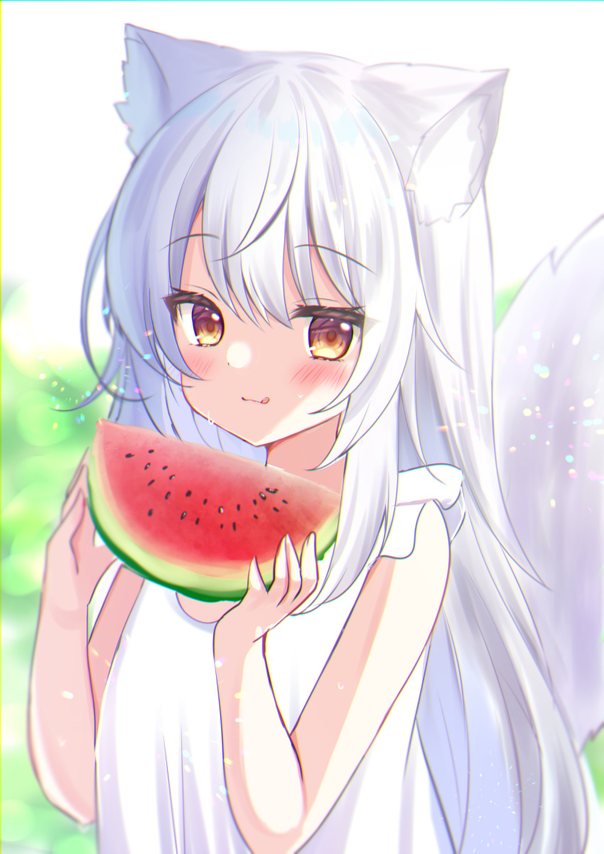 1girl :q animal_ears bangs blurry brown_eyes commentary_request depth_of_field dress eyebrows_visible_through_hair eyes_visible_through_hair food fox_ears fox_girl fox_tail fruit hair_between_eyes hamico highres long_hair looking_at_viewer original sidelocks smile solo summer tail tongue tongue_out watermelon white_dress white_hair