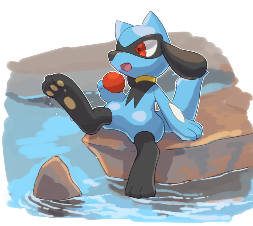 :d arm_support commentary_request full_body gen_4_pokemon holding kikuyoshi_(tracco) no_humans open_mouth paws pokemon pokemon_(creature) red_eyes riolu ripples sitting smile solo toes tongue water