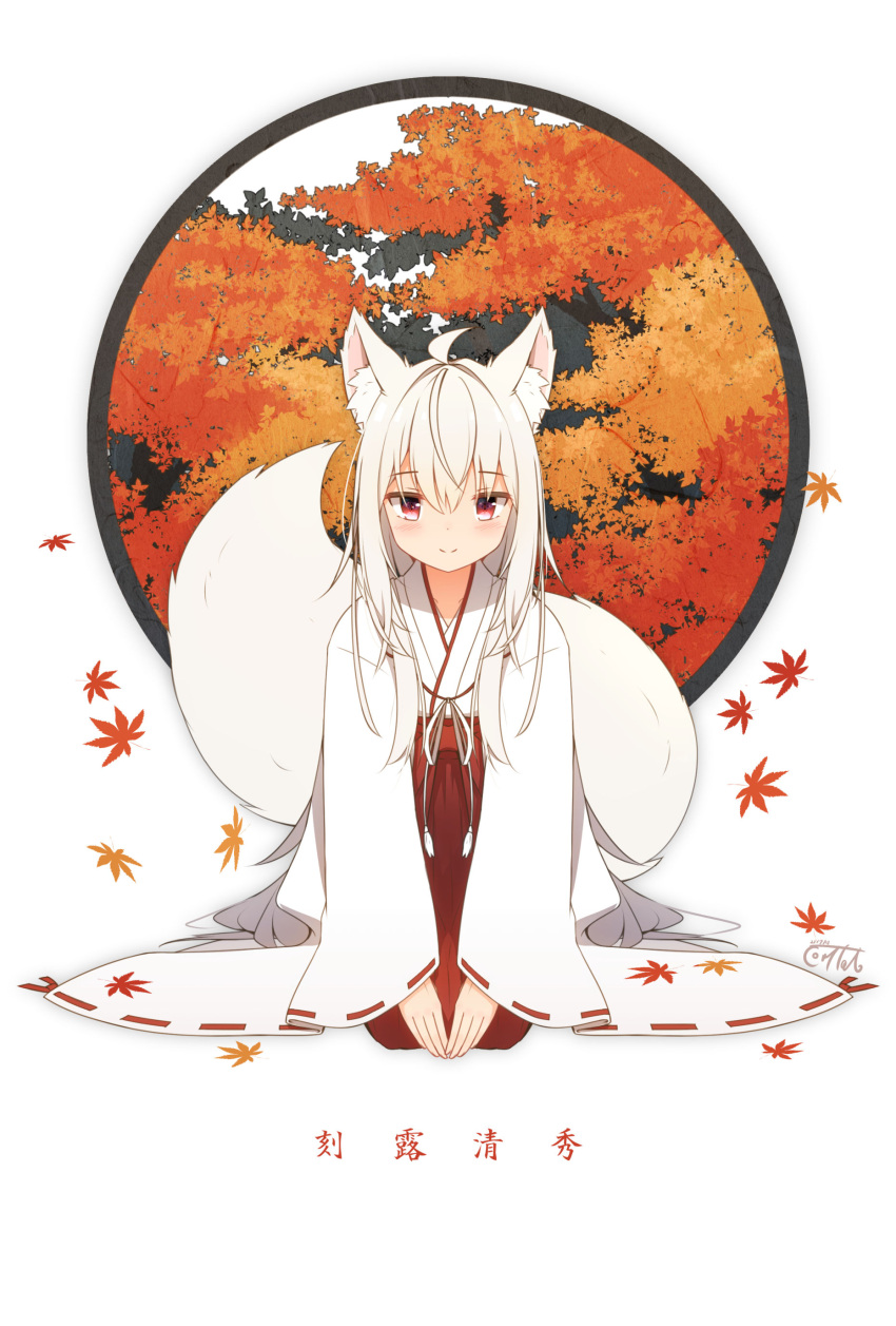 1girl absurdres ahoge animal_ear_fluff animal_ears autumn_leaves bangs blush closed_mouth commentary_request coreytaiyo eyebrows_visible_through_hair full_body hair_between_eyes hakama highres japanese_clothes kimono leaf long_hair long_sleeves looking_at_viewer maple_leaf original red_eyes red_hakama ribbon-trimmed_sleeves ribbon_trim sleeves_past_wrists smile solo tail translation_request very_long_hair white_hair white_kimono wide_sleeves
