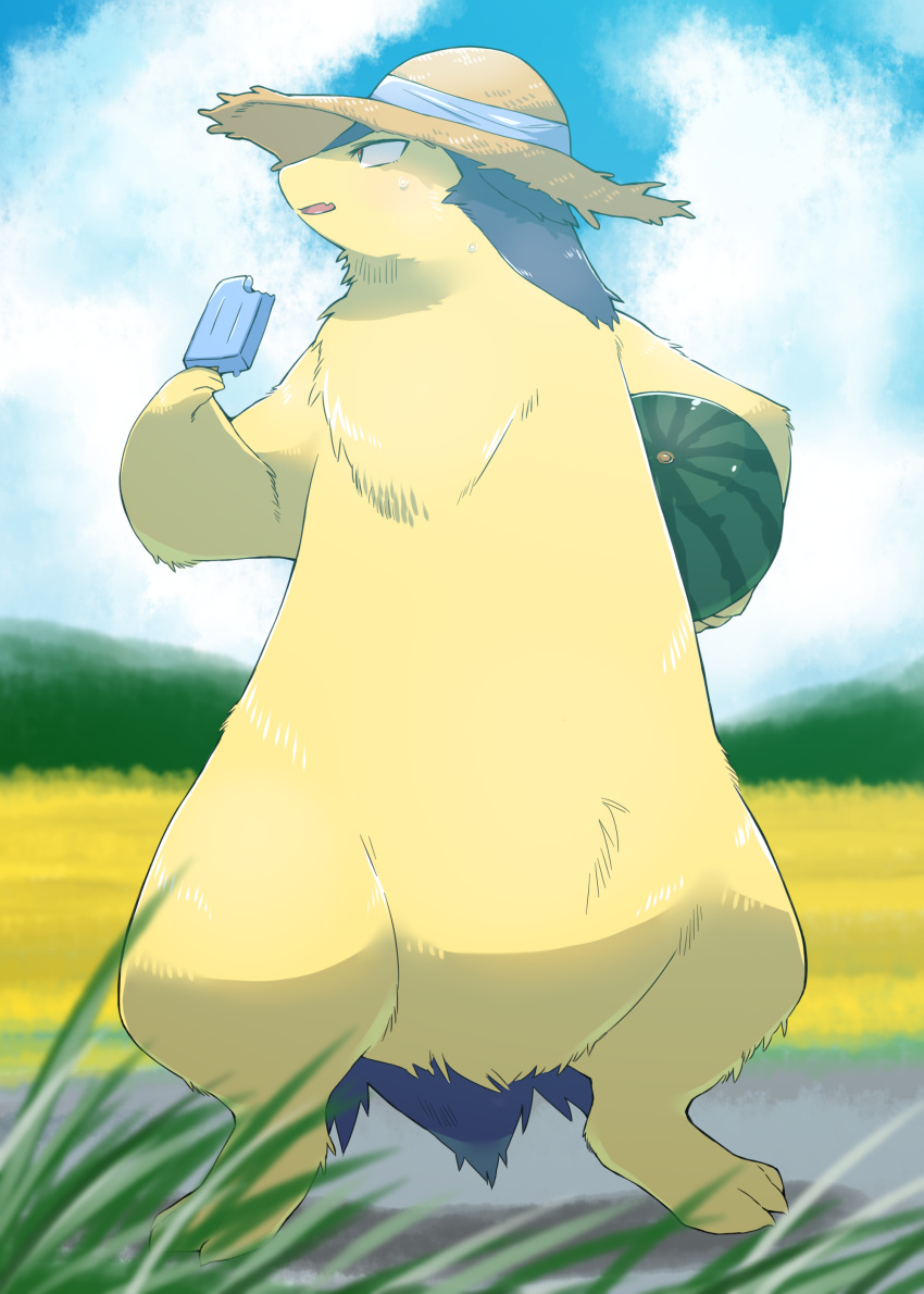 absurdres chizi clouds commentary_request day food fruit gen_2_pokemon hat hatted_pokemon highres holding holding_stick looking_to_the_side outdoors pokemon pokemon_(creature) popsicle sky solo standing stick straw_hat toes typhlosion watermelon