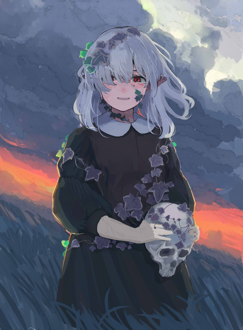 1girl absurdres aster_drawing bangs black_dress blush breasts clouds cloudy_sky commentary_request dress eyebrows_behind_hair hair_ornament hair_over_one_eye highres holding holding_skull leaf_hair_ornament long_hair long_sleeves looking_at_viewer original outdoors parted_lips pointy_ears puffy_sleeves red_eyes silver_hair skull sky small_breasts smile solo tall_grass twilight wind