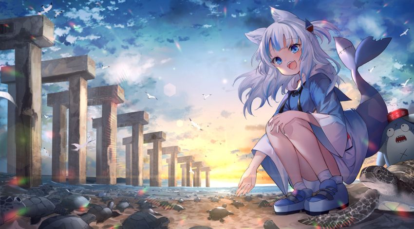 1girl :d animal animal_ear_fluff animal_ears bangs beach bloop_(gawr_gura) blue_eyes blue_footwear blue_hair blue_hoodie cat_ears commentary eyebrows_visible_through_hair fish_tail full_body fuyouchu gawr_gura hair_ornament hand_on_own_knee highres hololive hololive_english hood hood_down hoodie long_sleeves looking_at_viewer multicolored_hair open_mouth outdoors sea_turtle shark_hair_ornament shark_tail sharp_teeth shoes sky smile squatting streaked_hair sunrise tail tail_raised teeth turtle two_side_up virtual_youtuber white_hair wide_sleeves