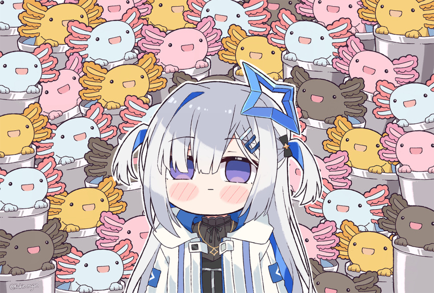 amane_kanata axolotl_(minecraft) blue_hair blush_stickers chibi colored_inner_hair commentary empty_eyes english_commentary expressionless hair_ornament hairclip halo hololive jacket kukie-nyan long_hair minecraft multicolored_hair silver_hair star_halo two_side_up violet_eyes virtual_youtuber white_jacket