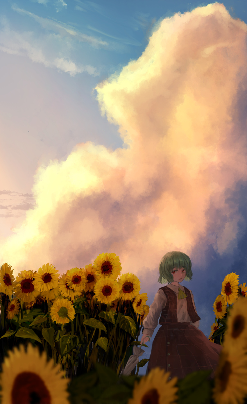 1girl arm_at_side ascot bangs blue_sky blurry blurry_foreground buttons closed_umbrella clouds collared_shirt colored_eyelashes cumulonimbus_cloud day eyebrows_visible_through_hair garden_of_the_sun green_hair highres holding holding_umbrella kazami_yuuka kougekiryoku long_skirt long_sleeves looking_to_the_side open_mouth pink_sky plaid plaid_skirt plaid_vest red_eyes red_skirt red_vest shiny shiny_hair shirt short_hair skirt skirt_set sky smile solo sunset touhou umbrella vest white_shirt yellow_neckwear