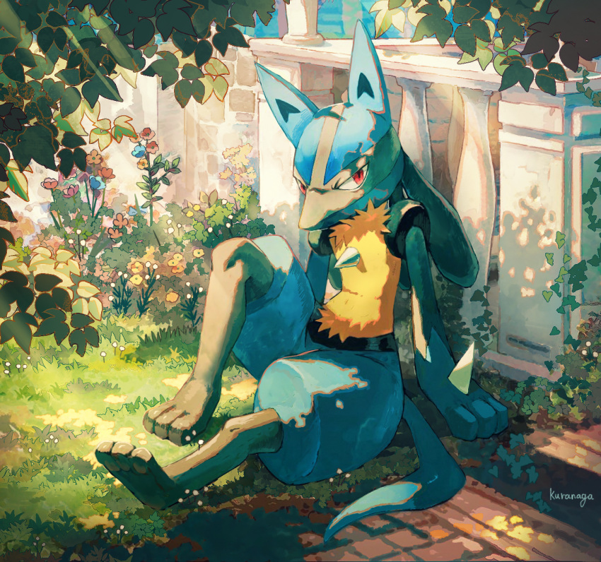 arm_support commentary_request day flower full_body furry gen_4_pokemon grass highres looking_to_the_side lucario nagakura_(seven_walkers) outdoors pokemon pokemon_(creature) red_eyes signature sitting solo spikes toes yellow_fur