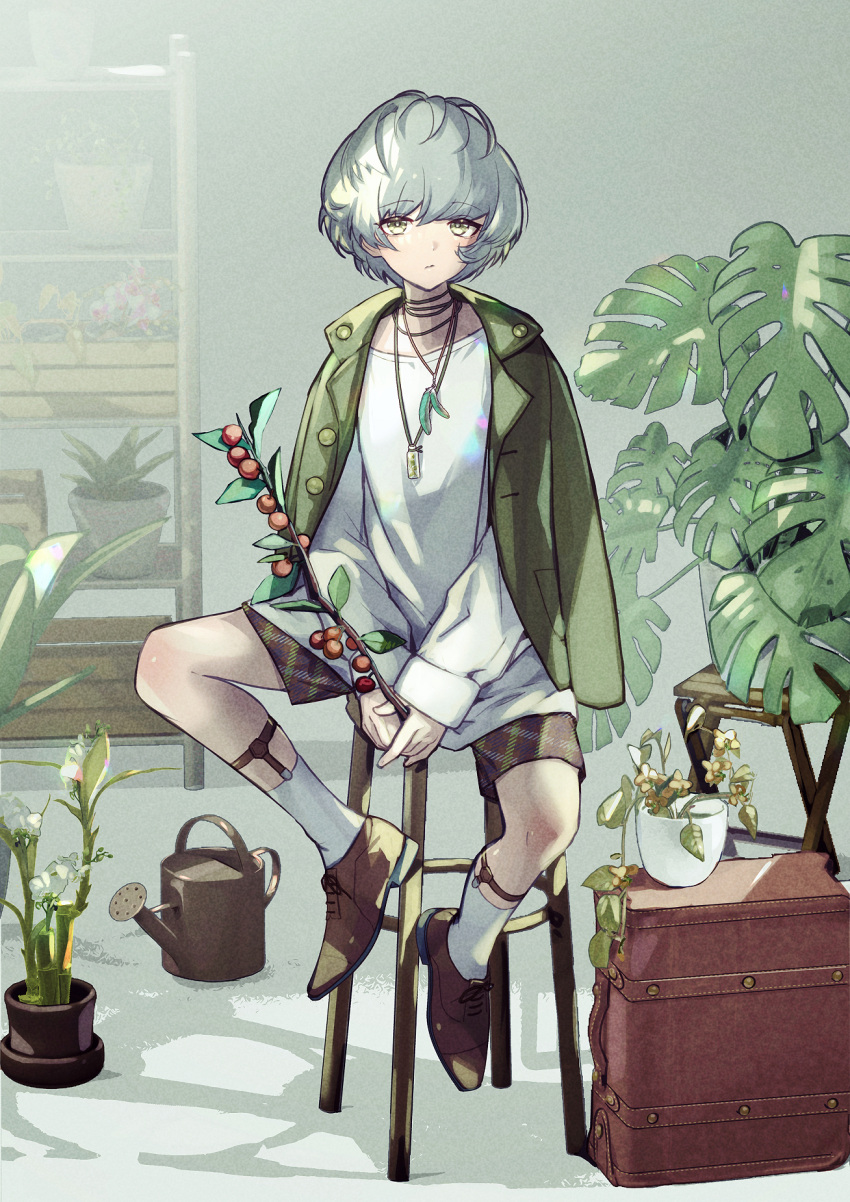 1girl alchemy_stars bamboo branch brown_footwear closed_mouth commentary_request formal full_body green_eyes green_jacket grey_hair highres holding holding_branch jacket jacket_on_shoulders jewelry long_sleeves looking_at_viewer necklace oxfords plaid plaid_shorts plant potted_plant shadow shelf shirt shoes short_hair shorts sitting sock_garters socks solo stool suit sylva_(alchemy_stars) watering_can white_legwear white_shirt yoruhachi