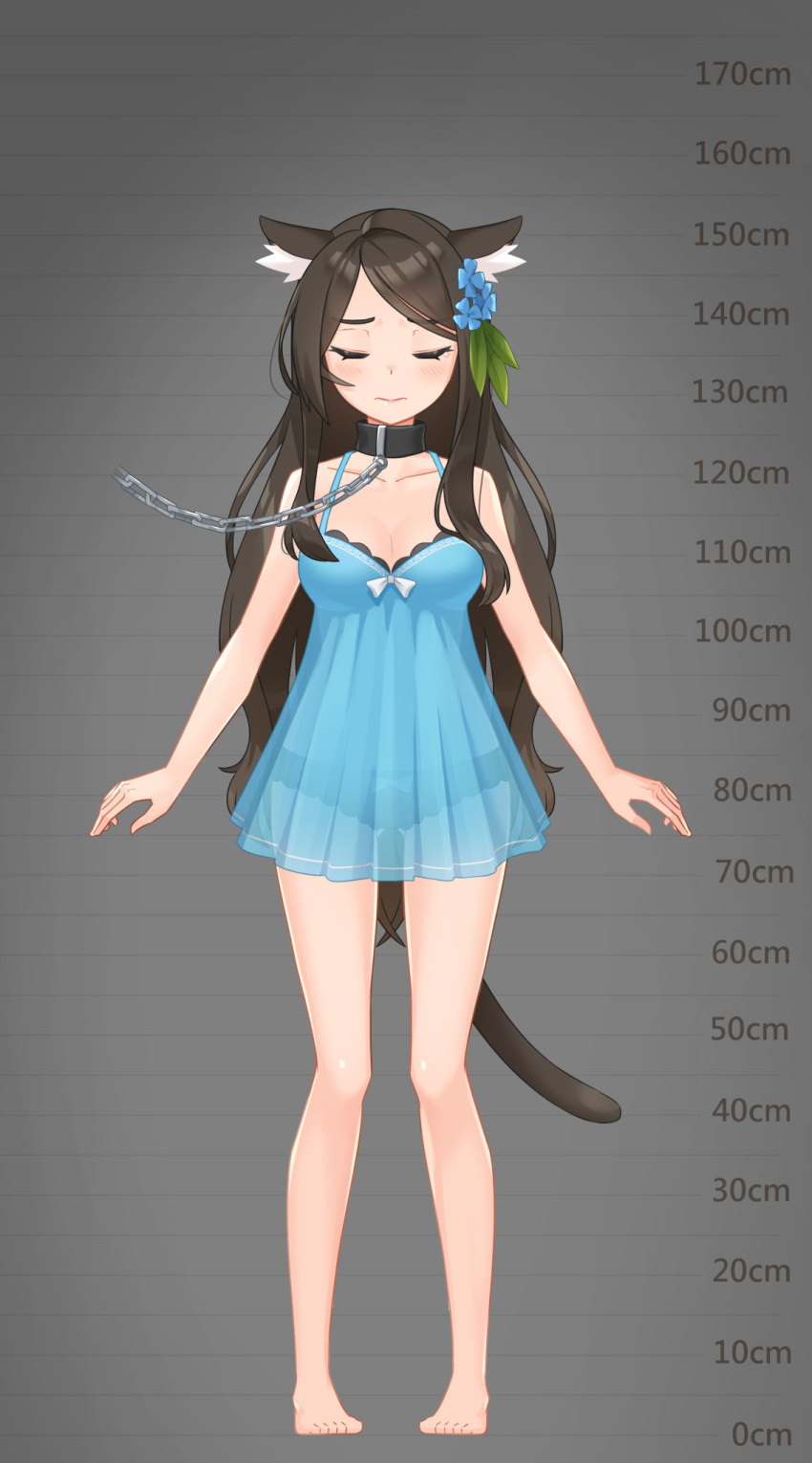 1girl aina_(mao_lian) animal_ear_fluff animal_ears arms_at_sides ass_visible_through_thighs bare_legs barefoot black_panties blue_dress blue_flower bow bow_panties brown_hair cat_ears cat_tail chain closed_eyes closed_mouth collar dress facing_viewer flower hair_flower hair_ornament height_chart highres long_hair mao_lian_(nekokao) metal_collar original panties smile solo tail underwear very_long_hair