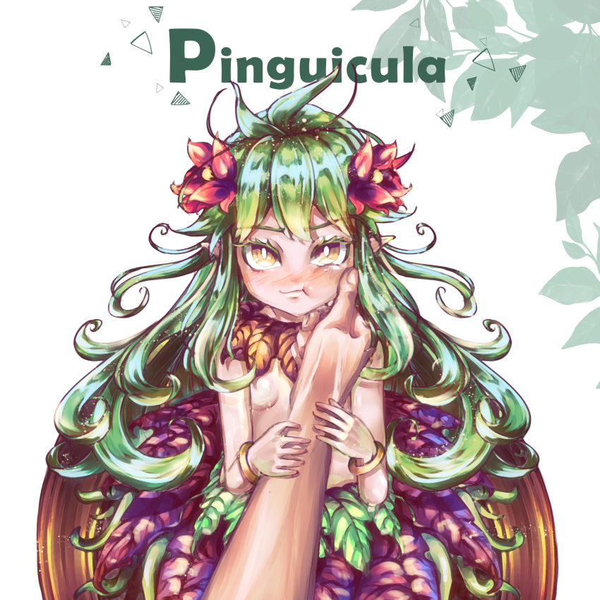 1girl 1other :t absurdres bangs blush breasts character_name closed_mouth commentary english_commentary feet_out_of_frame flower green_hair hair_flower hair_ornament hand_on_another's_cheek hand_on_another's_face highres holding_hands leaf leaf_hair long_hair looking_at_viewer monster_girl nanaya_(shohei77) pinguicula plant_girl pointy_ears pov ragnarok_online red_flower small_breasts topless white_background yellow_eyes